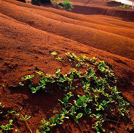 粉丝虚幻5自制《刺客信条2》 展示环境、十分逼真